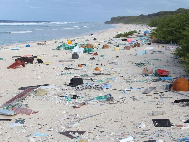 One of the beaches on Henderson Island is littered with plastic