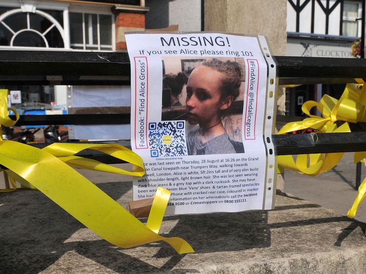 Alice Gross went missing in August 2014